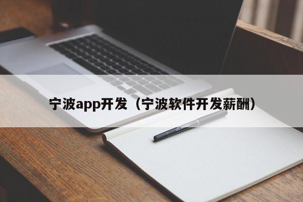 宁波app开发（宁波软件开发薪酬）
