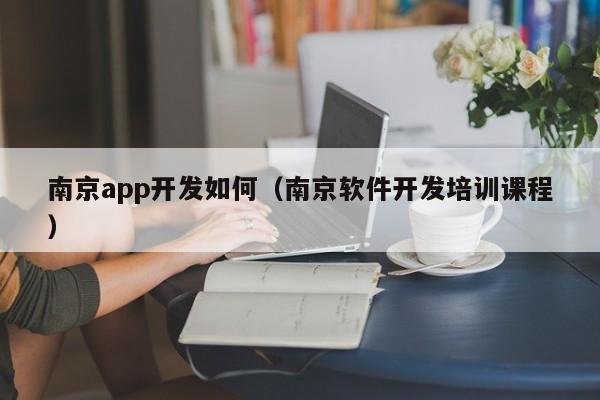 南京app开发如何（南京软件开发培训课程）