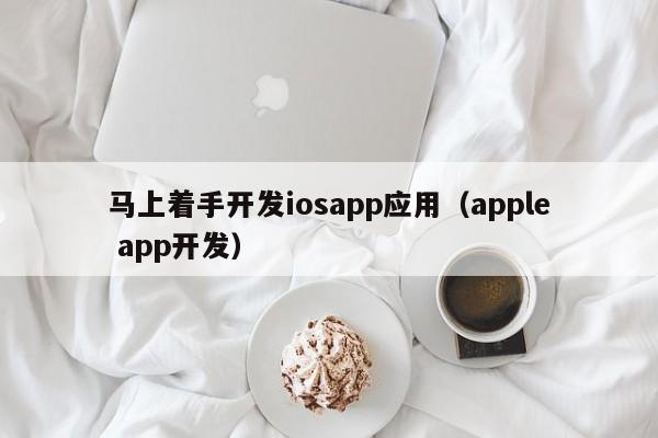 马上着手开发iosapp应用（apple app开发）