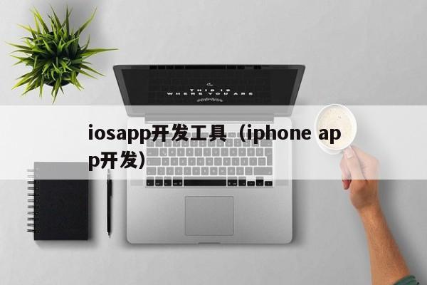 iosapp开发工具（iphone app开发）